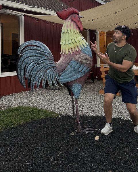 Ryan Raghubans squaring up to an oversized painted rooster statue outside a red barn.